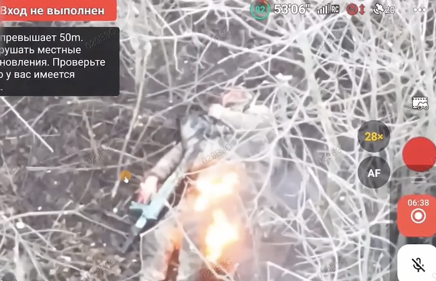 Russian is under FPV attack in the tree line, catches fire after the hit. While burning alive, he tries to shoot himself rather unsuccessfully. Feral pigs are seen wandering around and feeding on dead soldiers