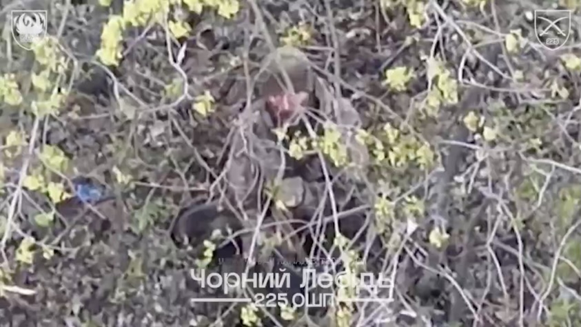 Russian is under repeated FPV attack in a tree line, eventually is seen sitting on the ground and shooting himself