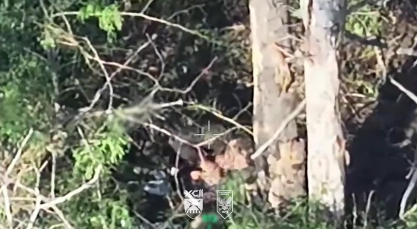 Russian receives FPV hit while hiding under the tree. Apparently injured, he pulls the pin on his grenade with his teeth and detonates it close to his chest